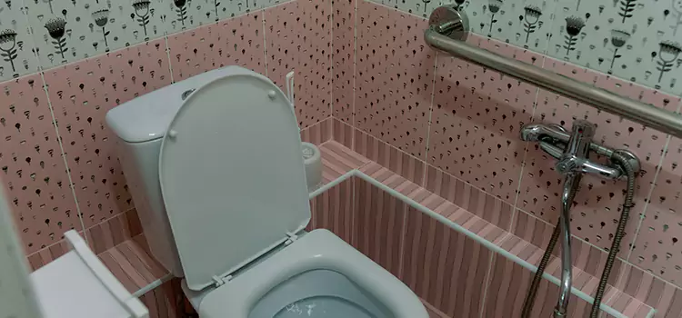 Meeting Diverse Needs With Accessible Restroom Solutions in Inglewood, CA