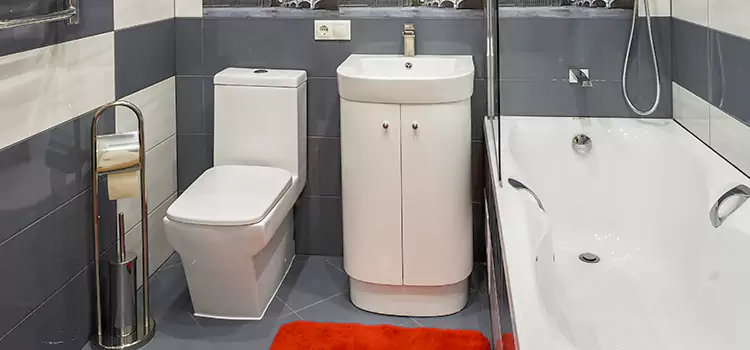 Hansgrohe Shaving Mirror Inglewood